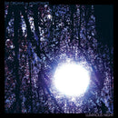 Six Organs Of Admittance - Luminous night (LP) - Discords.nl