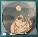 Offspring, The - Splinter (LP) - Discords.nl