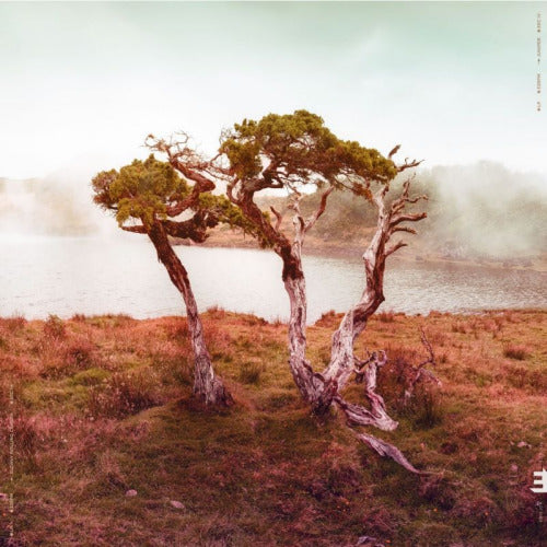 Slowly Rolling Camera - Juniper (LP) - Discords.nl