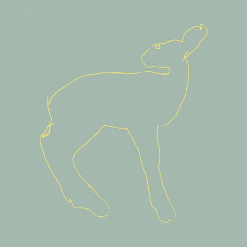 Songs: Ohia - Hecla & griper (LP) - Discords.nl