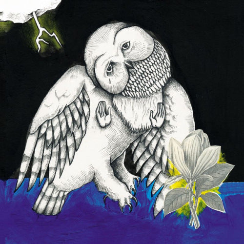 Songs: Ohia - Magnolia elecric co (CD) - Discords.nl