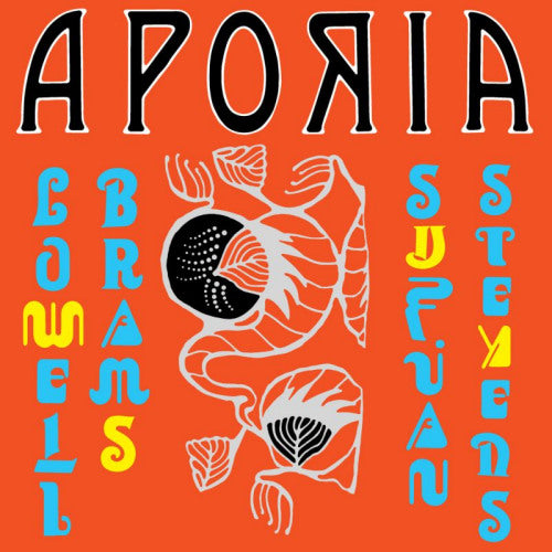 Sufjan Stevens & Lowell Brams - Aporia (CD) - Discords.nl