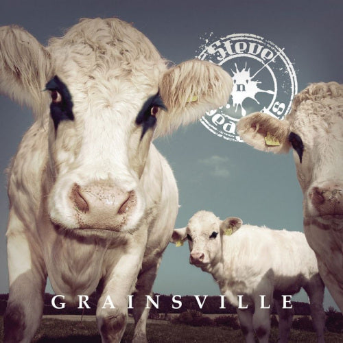 Steve 'n' Seagulls - Grainsville (LP) - Discords.nl