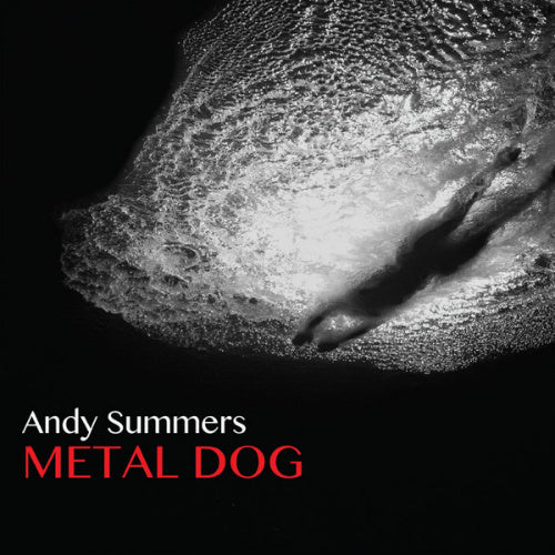 Andy Summers - Metal dog (CD) - Discords.nl