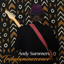 Andy Summers - Triboluminescence (LP) - Discords.nl