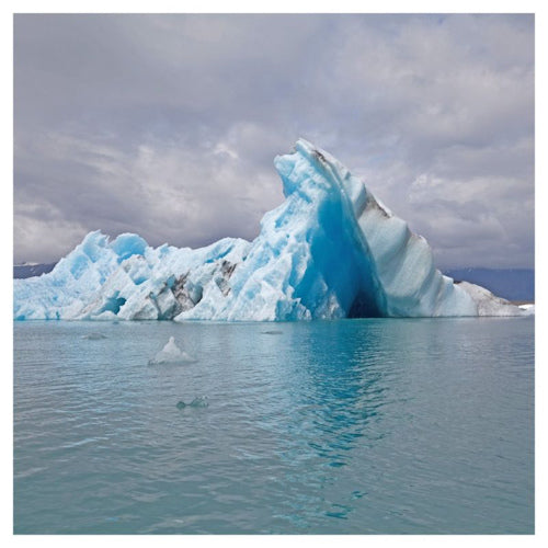 Surfer Blood - Snowdonia (CD) - Discords.nl