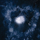 Swans - My father will guide me up a rope t (CD) - Discords.nl