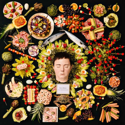 Sweet Baboo - Wild imagination (LP) - Discords.nl