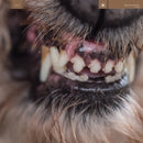 Blanck Mass - World eater (LP)