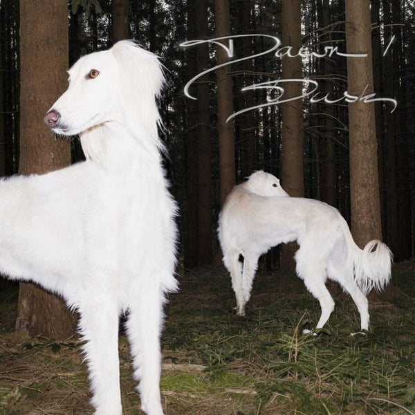 Sam De Nef - Dawn/dusk (CD) - Discords.nl