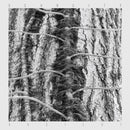 Scarcity - Aveilut (LP) - Discords.nl