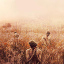 Sebastian Plano - Arrhythmical part of hearts (LP) - Discords.nl