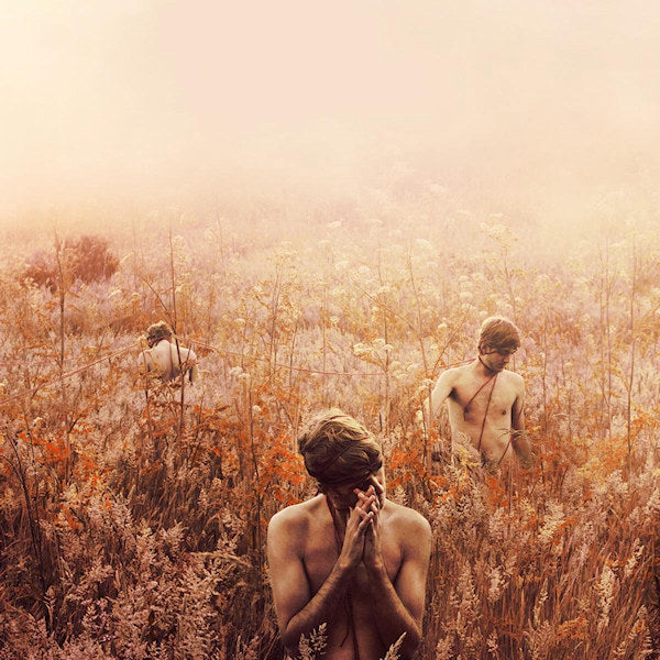 Sebastian Plano - Arrhythmical part of hearts (LP) - Discords.nl