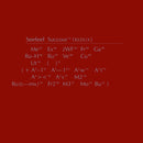 Seefeel - Succour (redux) (LP) - Discords.nl