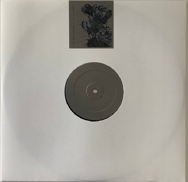 Vladislav Delay - Recovery idea (12-inch)