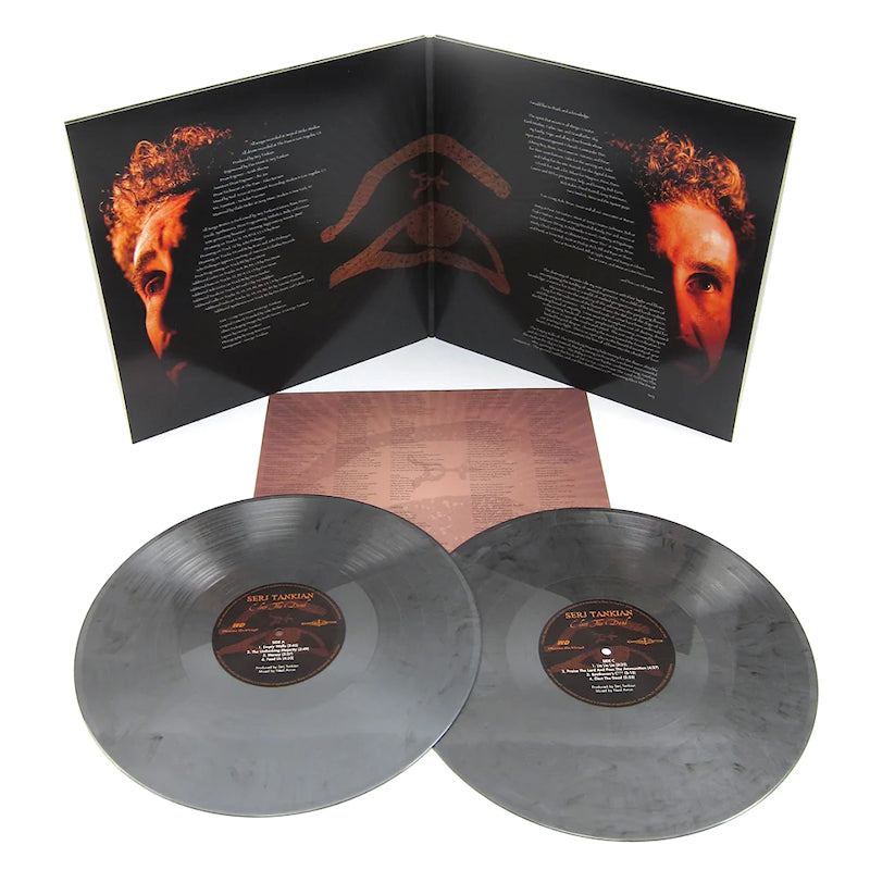 Serj Tankian - Elect the dead (LP) - Discords.nl