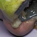 Sex Swing - Sex swing (CD) - Discords.nl