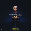 Shai Maestro Trio - Stone skipper (CD)