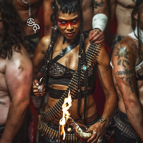 Shaka Ponk - Shaka ponk (LP) - Discords.nl