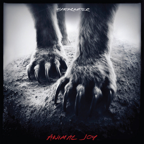 Shearwater - Animal joy (LP) - Discords.nl