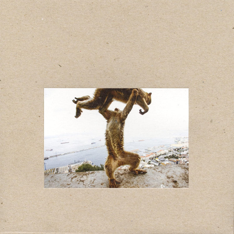 Shellac - Dude incredible (CD) - Discords.nl