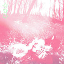 Shower Curtain - Words from a wishing well (LP) - Discords.nl