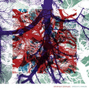 Silversun Pickups - Widow's weeds (CD) - Discords.nl