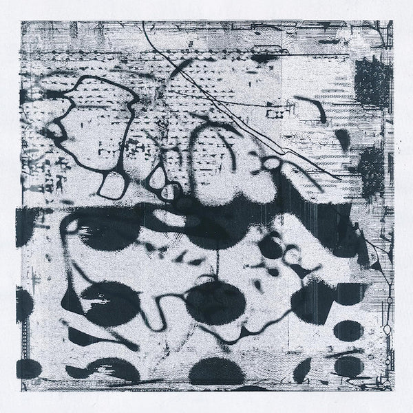 Simon Lanz & Tobias Lanz - Arches (LP) - Discords.nl