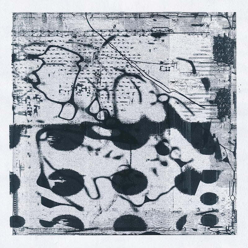 Simon Lanz & Tobias Lanz - Arches (LP) - Discords.nl