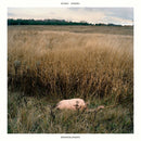 Sinai Vessel - Brokenlegged (LP)