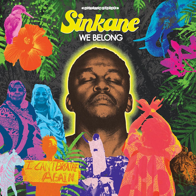 Sinkane - We belong (purple) (LP) - Discords.nl