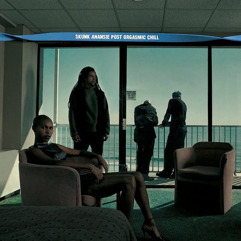 Skunk Anansie - Post Orgasmic Chill (LP) - Discords.nl
