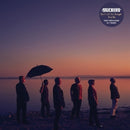 Slackers - Don't let the sunlight fool ya (LP)