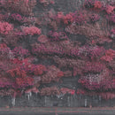 Sleep Token - Even in arcadia (CD) - Discords.nl
