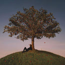 slowthai - Tyron (LP) - Discords.nl