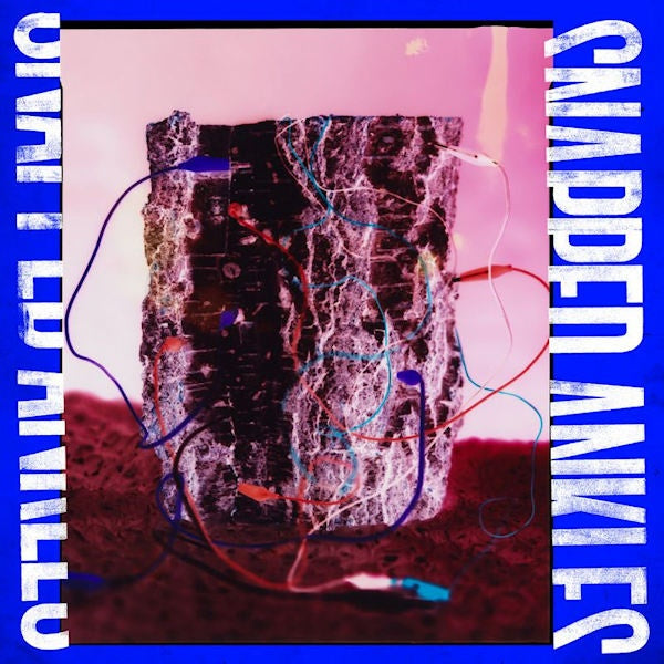 Snapped Ankles - Forest Of Your Problems (LP)