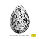 Snorri Hallgrímsson - The importance of birds (LP)