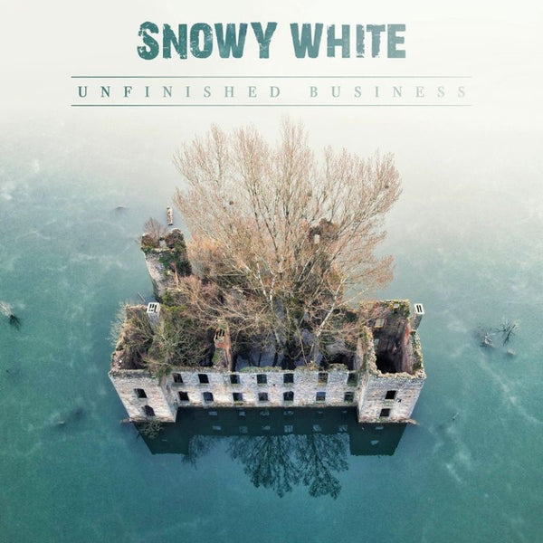 Snowy White - Unfinished business (LP)