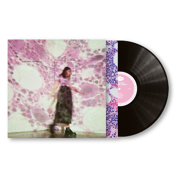 Soccer Mommy - Sometimes, forever (LP) - Discords.nl