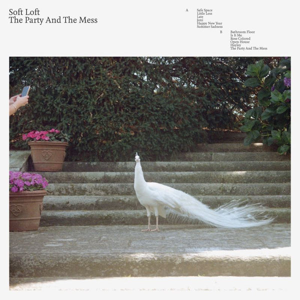Soft Loft - The party and the mess (LP) - Discords.nl