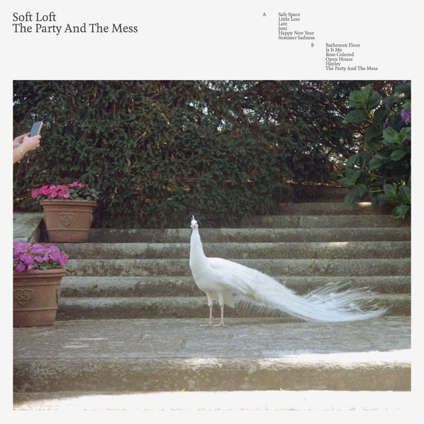 Soft Loft - The party and the mess (CD) - Discords.nl