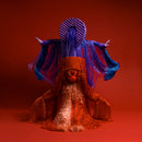 Sotomayor - Origenes (LP)