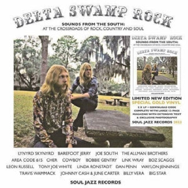 V/A (Various Artists) - Delta swamp rock (LP)