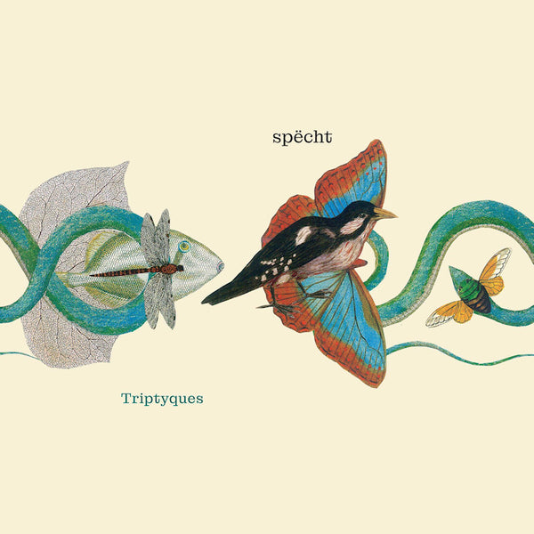 Specht - Triptyques (LP) - Discords.nl