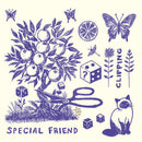 Special Friend - Clipping (LP)