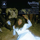 Spelling - Mazy fly (LP) - Discords.nl
