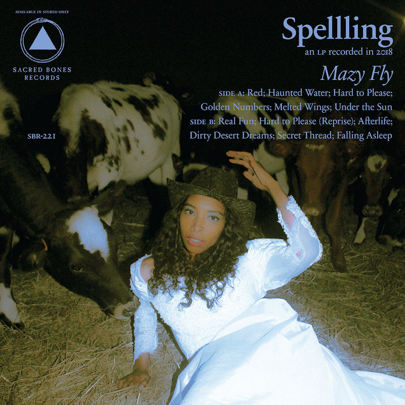 Spelling - Mazy fly (LP) - Discords.nl