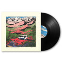 Spinvis - Toutes directions (12-inch)