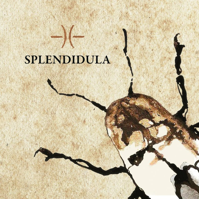 Splendidula - Splendidula (CD) - Discords.nl
