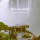 Springintgut - Where we need no map (CD) - Discords.nl